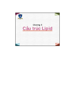 Bài giảng môn Hóa đại cương về "Cấu trúc lipid"