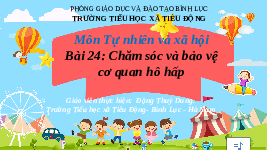 Giáo án điện tử Tự nhiên và Xã hội 2 Bài 24 Kết nối tri thức: Chăm sóc, bảo vệ cơ quan hô hấp