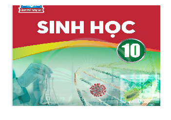 Bài 8: Tế bào nhân | Bài giảng PowerPoint môn Sinh học 10 | Chân trời sáng tạo