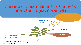 Giáo án điện tử Khoa học tự nhiên 7 bài 21 Chân trời sáng tạo : Khái quát về trao đổi và chuyển hóa năng lượng