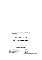Báo cáo chuyên đề: Bể lọc sinh học Môn Xử lý nước thải đô thị | Trường Đại học Nông Lâm, Đại học Huế