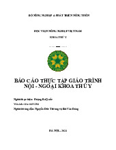 Báo cáo thực tập môn Thực tập giáo trình nội - ngoại khoa Thú y - Học viện nông nghiệp Việt Nam
