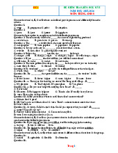 Bộ Đề Kiểm Tra Giữa Kỳ 1 Tiếng Anh 9 Global Success 2025-2026 Có Đáp Án