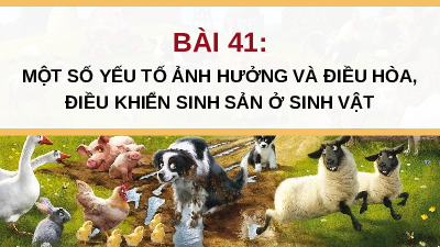 Giáo án điện tử Khoa học tự nhiên 7 bài 41 Kết nối tri thức : Một số yếu tố ảnh hưởng và điều hoà, điều khiển sinh sản ở sinh vật