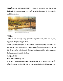 Giải Khoa học tự nhiên 8 bài 41: Hệ sinh thái | Cánh diều