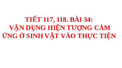 Giáo án điện tử Khoa học tự nhiên 7 bài 34 Kết nối tri thức :Vận dụng hiện tượng cảm ứng ở sinh vật vào thực tiễn