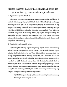 Những nguyên tắc cơ bản của hoạt động tư vấn pháp luật trong lĩnh vực dân sự học phần Luật hành chính