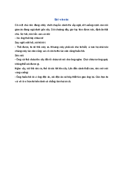 Kể chuyện Sói và sóc | Tiếng việt 1 Cánh Diều