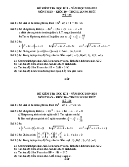 Đề kiểm tra học kỳ 1 Toán 10 năm 2019 – 2020 trường THPT Nam Kỳ Khởi Nghĩa – TP HCM