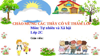 Giáo án điện tử Tự nhiên và xã hội 2 Bài 9 Cánh diều: An toàn khi đi trên phương tiện giao thông