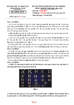 Đề thi vào 10 chuyên Sinh Sở GD Quảng Nam 2022-2023 (có đáp án)