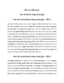 Văn mẫu lớp 6: Tóm tắt truyện Bánh chưng, bánh giầy (20 mẫu) - Chân Trời Sáng Tạo