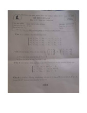 Đề thi giữa HKI học phần Đại số tuyến tính năm 2024 - 2025 | Trường Đại học Khoa học tự nhiên, Đại học Quốc gia Thành phố Hồ Chí Minh