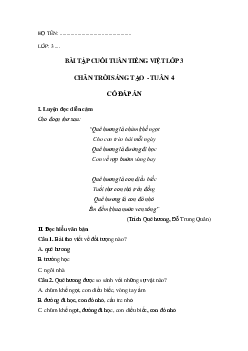 Bài tập cuối tuần tiếng Việt lớp 3 Chân trời sáng tạo Tuần 4 cơ bản