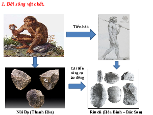 Giáo án điện tử Lịch Sử 6 KNTT - Bài 5 Kết Nối Tri Thức Với Cuộc Sống:  Xã hội nguyên thủy.