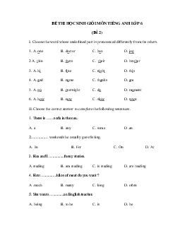 Đề thi học sinh giỏi lớp 6 môn Tiếng Anh năm học 2018 - 2019 (số 2)