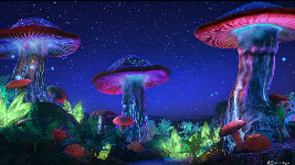 Giáo án điện tử Khoa học tự nhiên 6 bài 32 Kết nối tri thức : Nấm