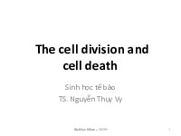 The cell division and cell death môn Sinh học tế bào | Đại học Bách Khoa Hà Nội