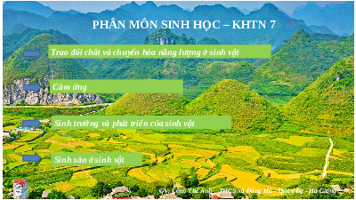 Giáo án điện tử Khoa học tự nhiên 7 bài 21 Kết nối tri thức :Khái quát về trao đồi chất và chuyển hoá năng lượng
