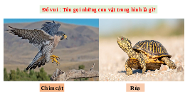 Giáo án điện tử Khoa học tự nhiên 7 bài 8 Chân trời sáng tạo : Tốc độ của chuyển động