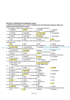 Đề Luyện Thi Học Sinh Giỏi Tiếng Anh Lớp 11 (có đáp án) - Practice Test 04-10-2021