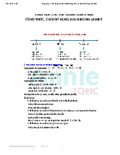 Tổng Hợp 12 Thì Tiếng Anh Cho Toeic: Công Thức và Cách Sử Dụng môn English Studies| Trường Đại học Thăng Long