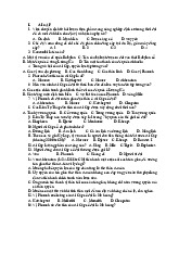 Đề cương môn Lịch sử văn minh thế giới   - trường đại học Khoa học xã hội và nhân văn – Đại học quốc gia Thành phố Hồ Chí Minh.