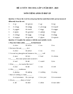 Đề luyện thi học sinh giỏi lớp 6 môn Tiếng Anh năm học 2019 - 2020 số 10