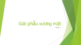 Giải phẫu xương mặt môn Giải phẫu  | Trường Đại học Y Dược, Đại học Quốc gia Hà Nội