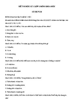 Đề thi học kì 1 môn Khoa học lớp 5 năm 2023 - 2024 Tải nhiều