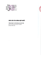 Báo cáo tài chính công ty Việt Tiến 2022 | Đại học Kinh tế Kỹ thuật Công nghiệp