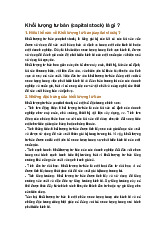 Khối lượng tư bản (capital stock) là gì ?