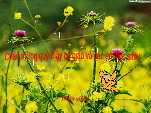 Bài 8: Phần viết | Bài giảng PowerPoint Ngữ văn 6 | Kết nối tri thức