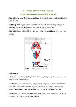 Giải Sinh học 11 Bài 9: Hô hấp ở động vật | Chân trời sáng tạo