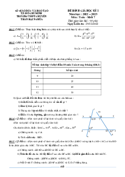 Đề học kỳ 1 Toán 7 năm 2022 – 2023 trường chuyên Trần Đại Nghĩa – TP HCM