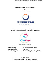 Dịch vụ chăm sóc người cao tuổi – Vitacare | Bài tiểu luận học phần Kỹ năng Khởi nghiệp và lãnh đạo | Trường Đại học Phenikaa