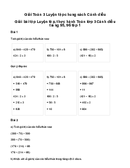 Luyện tập chung: Giải bài tập Luyện tập, thực hành Toán lớp 3 Cánh diều trang 95, 96 tập 1