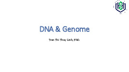 Bài giảng DNA & Genome môn Sinh học tế bào | Đại học Bách Khoa Hà Nội