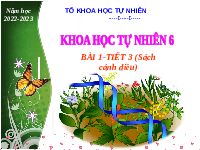 Giáo án điện tử Khoa học tự nhiên 6 bài 1 Chân trời sáng tạo : Giới thiệu về khoa học tự nhiên