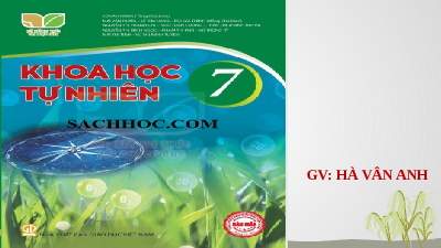 Giáo án điện tử Khoa học tự nhiên 7 bài 39 Chân trời sáng tạo : Sinh sản vô tính ở sinh vật