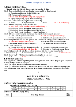 Đề thi Tin học lớp 6 học kì 2 Kết nối tri thức 2024 - Đề 1