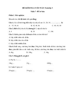 Phiếu bài tập cuối tuần Toán lớp 3 - Tuần 7 (cơ bản) |  Cánh Diều