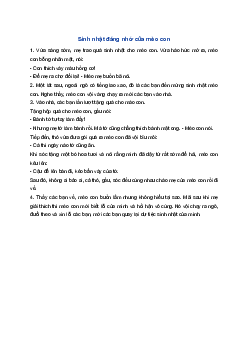 Kể chuyện Sinh nhật đáng nhớ của mèo con | Tiếng việt 1 Chân trời sáng tạo