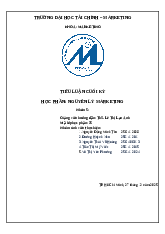 BÁO CÁO TIỂU LUẬN CUỐI KỲ 2