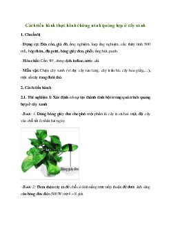 Giải Khoa học tự nhiên 7 Bài 24: Thực hành chứng minh quang hợp ở cây xanh | Chân trời sáng tạo