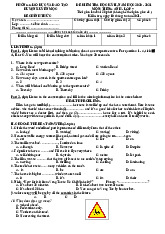 Đề kiểm tra Tiếng Anh học kì II - Tiếng Anh 7