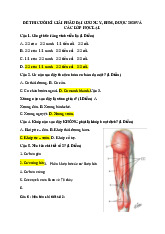 Đề thi cuối kì giải phẫu đại cương | Đại học Y khoa Phạm Ngọc Thạch