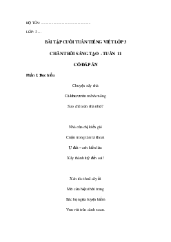 Bài tập cuối tuần tiếng Việt lớp 3 Chân trời sáng tạo Tuần 11 cơ bản