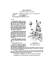 Bằng lăng nước -thực vật học | Đại học Lâm Nghiệp