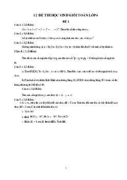 TOP 12 đề thi học sinh giỏi Toán lớp 6 (có đáp án)